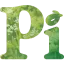Pi logo